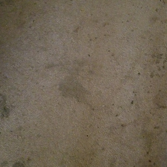 Meet your Posher, Darrell - Picture 1 of 1